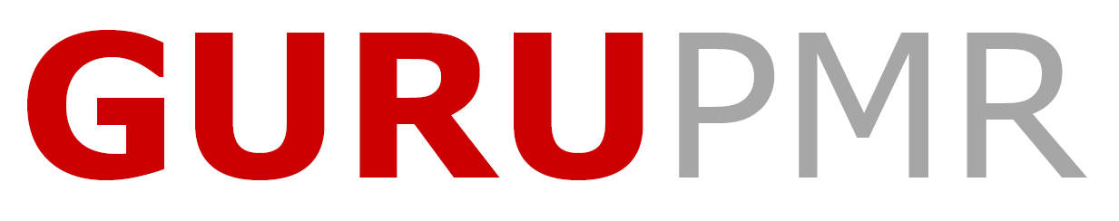 GURU Project Management Renewables